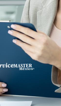 ServiceMASTER México : Quitar El Moho De Las Paredes